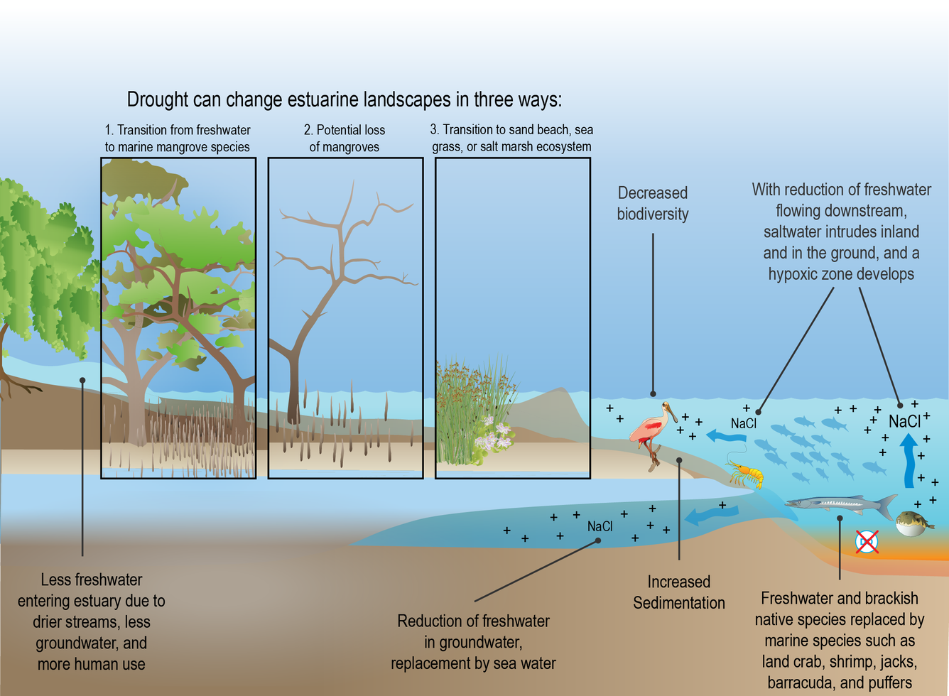 語学+参考書 Eutrophication in Coastal Marine Ecosystems (Coastal and Estuarine Studies) Eutrophication in Coastal Marine Ecosystems (Coastal and